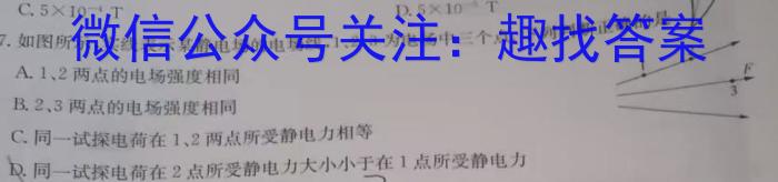 江西省南昌二十八中教育集团2023-2024学年八年级暑期开学阶段性测试试卷l物理