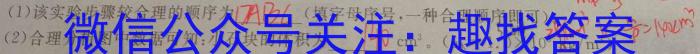 2024届陕西省高三年级8月联考物理`