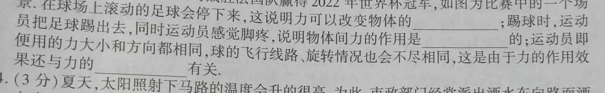 安徽省2024届九年级阶段评估1L R(一)-物理