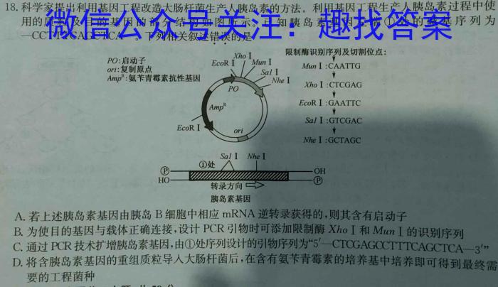 广东省东莞市大朗启东学校2023-2024学年第一学期八年级开学测试卷生物试卷答案