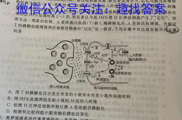 ［山东大联考］山东省2024届高三9月联考生物试卷答案