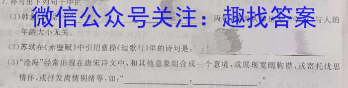 安徽省2023-2024学年高二年级上学期阶段检测联考语文