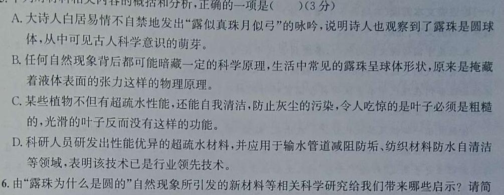 安徽省无为三中2023秋九年级第一次学情调研试卷语文