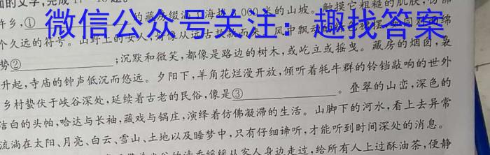 山西省九年级2023-2024学年新课标闯关卷（八）SHX/语文