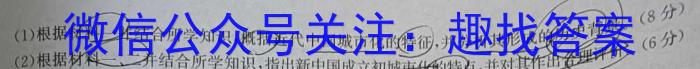 湖南省长沙市2024届九年级第一次质量调研检测历史试卷