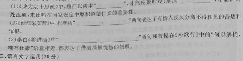 衡水名师卷 2023-2024学年度高三分科检测提分卷(三)语文