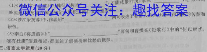 陕西省2024届高三阶段性检测卷（二）/语文