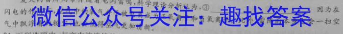 全国大联考2024届高三第二次联考（新高考QG）语文