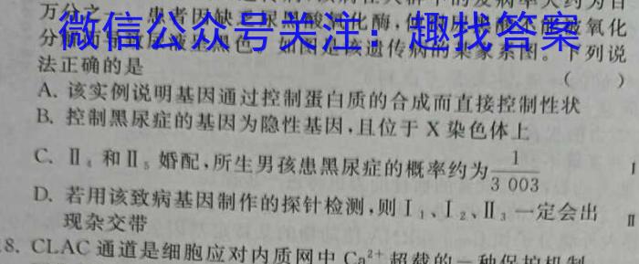 衡水金卷先享题·月考卷 2023-2024学年度上学期高三年级一调（新教材）生物试卷答案