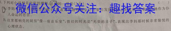 2024届安徽省六校教育研究会高三上学期入学素质测试语文