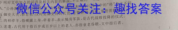 江淮十校 2024届高三第一次联考(8月)语文