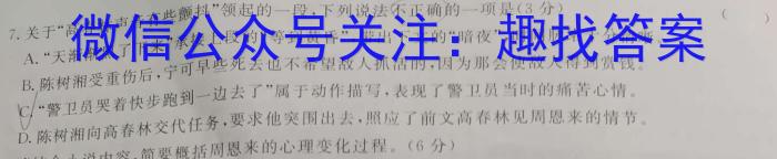 安徽省安庆市第二中学2023年七年级入学调研检测语文