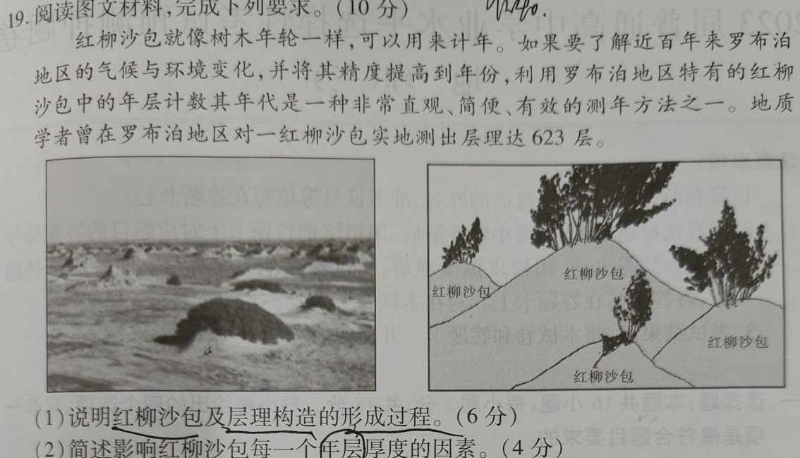 内蒙古包头市2023-2024学年高三上学期开学调研考试.地理