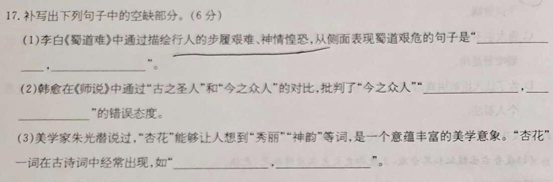 陕西省2023~2024学年度九年级教学素养测评(一) 1L R-SX语文