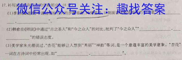 2024届全国高考分科模拟检测示范卷（一）XGK/语文
