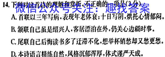 云南省昆明市第三中学初2024届初三年级上学期开学考试语文