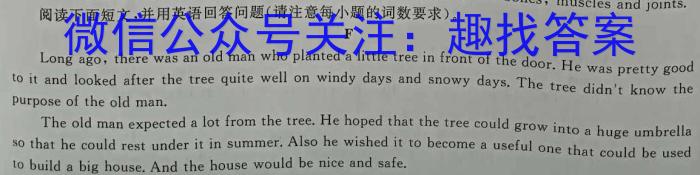 陕西省2023-2024学年度高一第一学期阶段性学习效果评估(一)英语