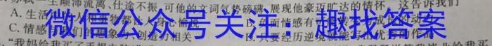 河南省2023~2024学年度七年级上学期阶段评估(一) 1L R-HEN政治试卷d答案
