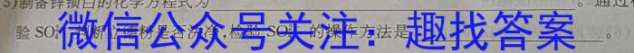 q山西省2023-2024学年度九年级阶段评估（A）化学