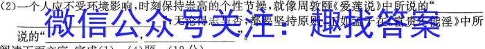 山西省临汾市2023-2024学年度初二第一学期素养形成第一次能力训练/语文