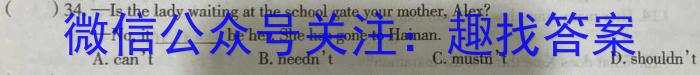 皖智·全程达标卷·安徽第一卷·2023-2024学年九年级单元检测卷英语试题