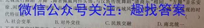 陕西省2024届九年级开学考试历史