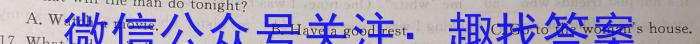 河南省24届高三年级TOP二十名校调研考试三[243065D]英语试题