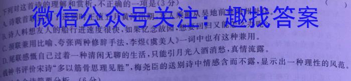 2024届南宁二中、柳铁一中新高考高三摸底调研测试（9月）语文