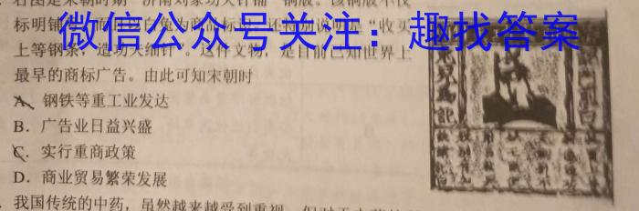 2024届安徽a10开学考高三考试历史试卷