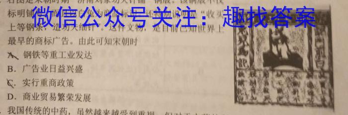 2024届安徽T12教育九年级第一次调研模拟卷历史试卷