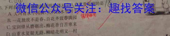 金科大联考2023-2024学年高二年级10月联考政治试卷d答案