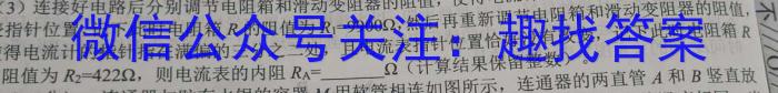 2024届安徽T12教育九年级第一次调研模拟卷q物理