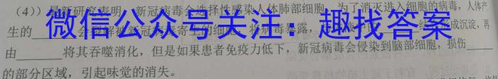 衡水市第十三中学2023-2024学年第一学期高三年级开学考试生物