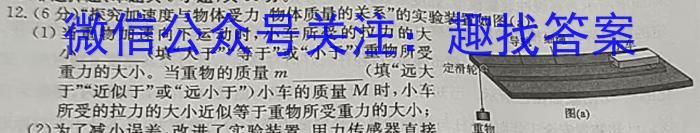 广东省2023-2024学年高二上学期9月联考l物理