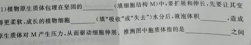 2023-2024学年福建省高三8月联考(FJ)生物