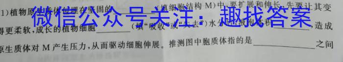 百师联盟 湖南省2023~2024学年高二8月模拟考试生物