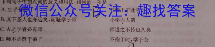 陕西省2024届九年级教学质量检测B/语文