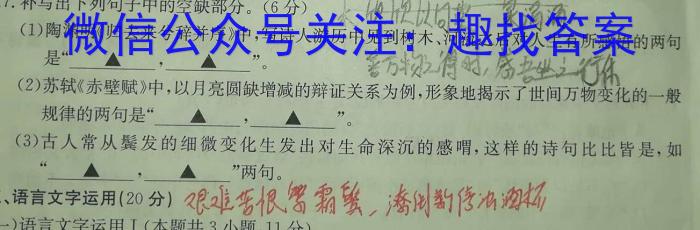 安徽省2023-2024学年度九年级第一学期第一次教学质量检测/语文