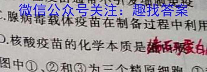 2024届南宁二中 柳铁一中新高考高三摸底调研测试生物试卷答案