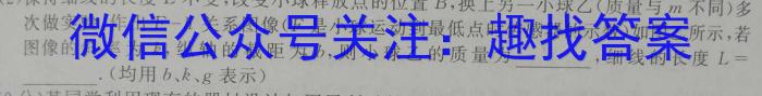 新时代NT教育2023-2024学年高三入学摸底考试（新高考）物理.