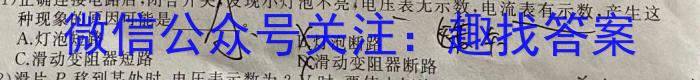 山东省日照市2024级高二上学期校际联合联合考试（8月）q物理