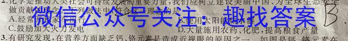 q2024届全国高考分科模拟检测示范卷XGK✰(二)化学