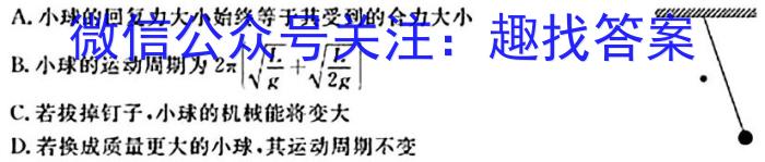 河南省教育研究院2024届新高三8月起点摸底联考政治试卷及参考答案l物理