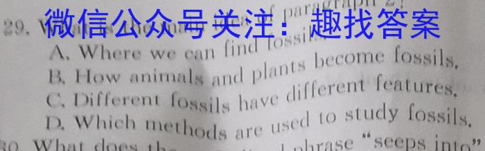 安徽省2023-2024学年高二年级上学期阶段检测联考英语