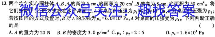 2024届湖南省高三入学摸底联考(8月)q物理