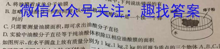 2023-2024学年度湖北省部分学校九年级调研考试.物理