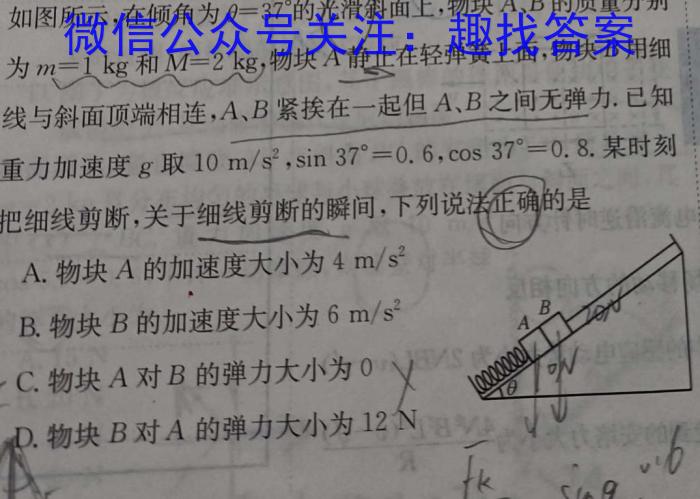 2024届百万大联考高三年级8月联考（1002C）物理.