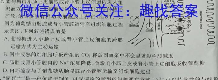 文海大联考·2024届高三起点考试（J）生物试卷答案
