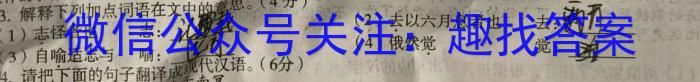 九师联盟2023-2024学年高三9月质量检测（新教材-L）/语文