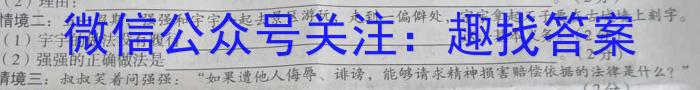 甘肃省武威市凉州区2024-2025学年度第一学期九年级开学测试卷政治~